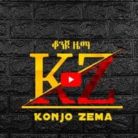 TikTok Account - konjozema219