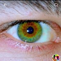 TikTok Account - dance_hits_2000_years