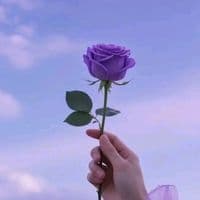 TikTok Account - ruky1311