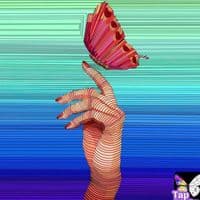 TikTok Account - authenticvibes00