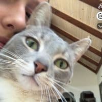 TikTok Account - .madden.3