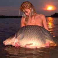 TikTok Account - ionlikezay