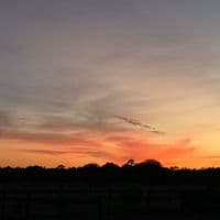 TikTok Account - its.simplyriley