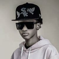 TikTok Account - big_leed