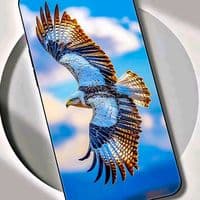 TikTok Account - bini.love424