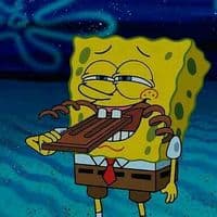 TikTok Account - rosezandtruthz