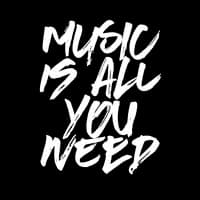TikTok Account - _musicisallyouneed_