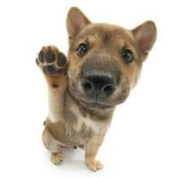 TikTok Account - rebelde_way_738