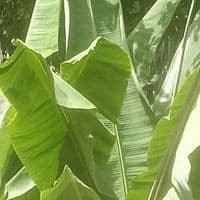 TikTok Account - pa_pu_knnen_en