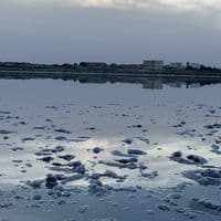 TikTok Account - kattybecky3