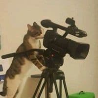 TikTok Account - ...hablemosde