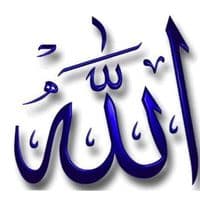 TikTok Account - elhamdulilah28