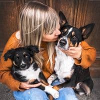 TikTok Account - herzenssachepfotografie