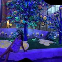 TikTok Account - 123cocomama