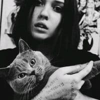 TikTok Account - viksodr18