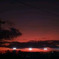 TikTok Account - musica.11jdjdw