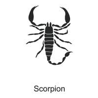 TikTok Account - scorpionthe8th