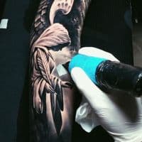 TikTok Account - artgambler