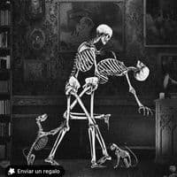 TikTok Account - cmchr