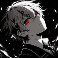 TikTok Account - officialmusicvideo