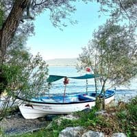 TikTok Account - snr_1983