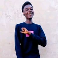 TikTok Account - brd_702