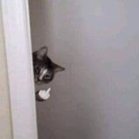 TikTok Account - maewwoeyyyy