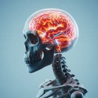 TikTok Account - posiblemente_0