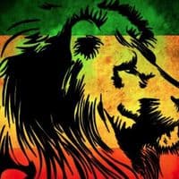 TikTok Account - reggaethroughtheyears