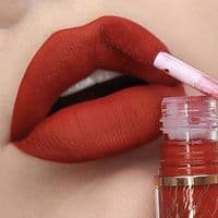 TikTok Account - itslipsticklovers