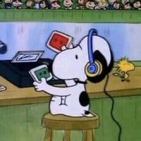 TikTok Account - stars4aurora