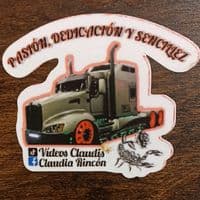 TikTok Account - videosclaudis2