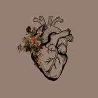 TikTok Account - algeria___ddz