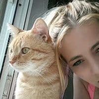 TikTok Account - petronela0609