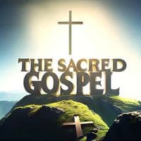 TikTok Account - holy.gospel6