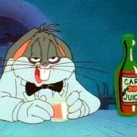 TikTok Account - rolitaschidasparaestados