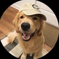 TikTok Account - kqvtx