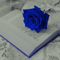 TikTok Account - flakita86280