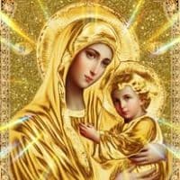 TikTok Account - anaazxul