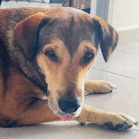 fundacionhuellitasaleman