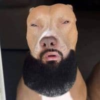 TikTok Account - prodbyraesam