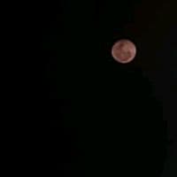 TikTok Account - fragmentos.de.un.diario