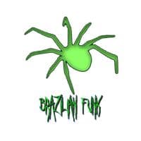 TikTok Account - brazilian.funk