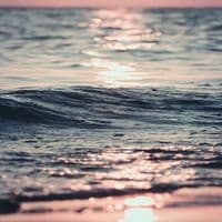 TikTok Account - youre_gonna_be_okay_