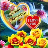 TikTok Account - bebecherie17