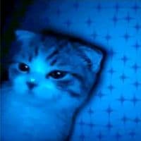 TikTok Account - 88.88.004