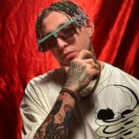 TikTok Account - laryoverletras