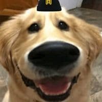 TikTok Account - reaper_4live