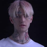 TikTok Account - wherethedrugs
