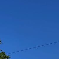 TikTok Account - moo_n_0